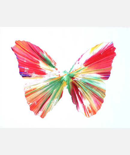 Butterfly, 2009